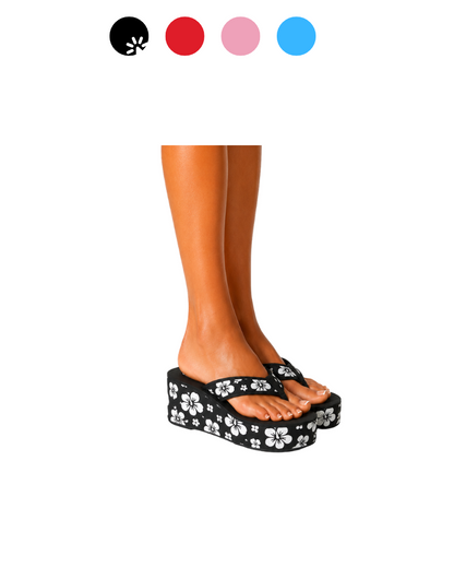 Black Hibiscus Platform -DISPATCH JULY